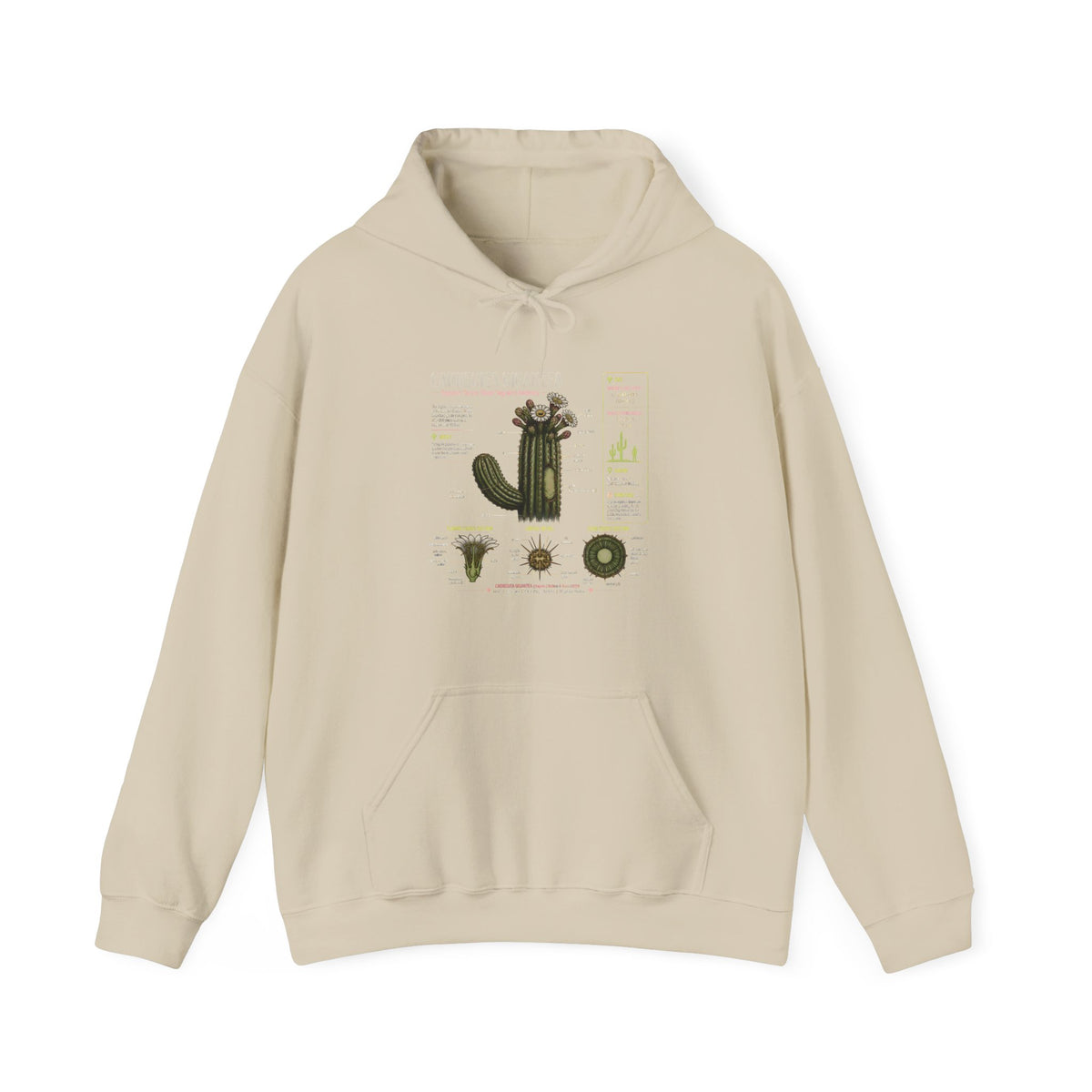 Cactus Anatomy Hoodie — Botanical Saguaro Diagram Sweatshirt