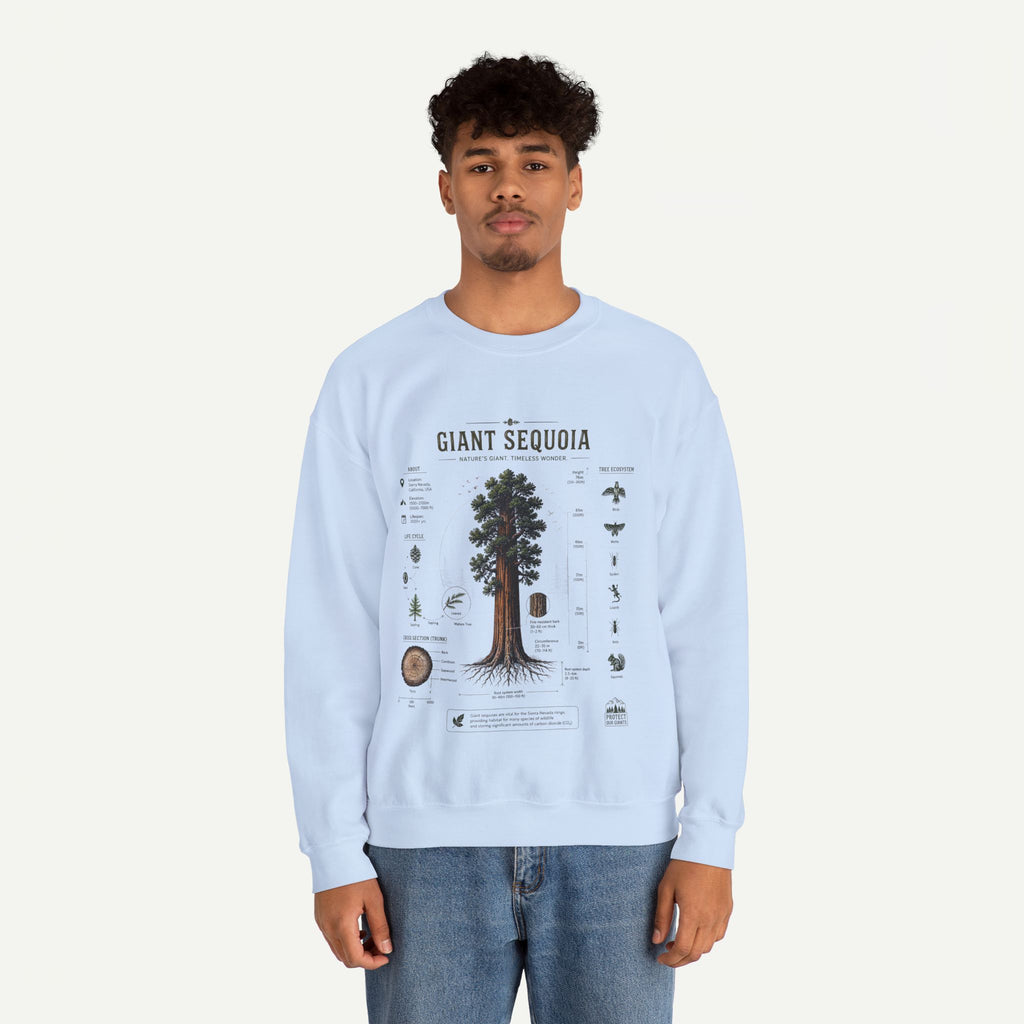 Giant Sequoia Botanical Sweatshirt