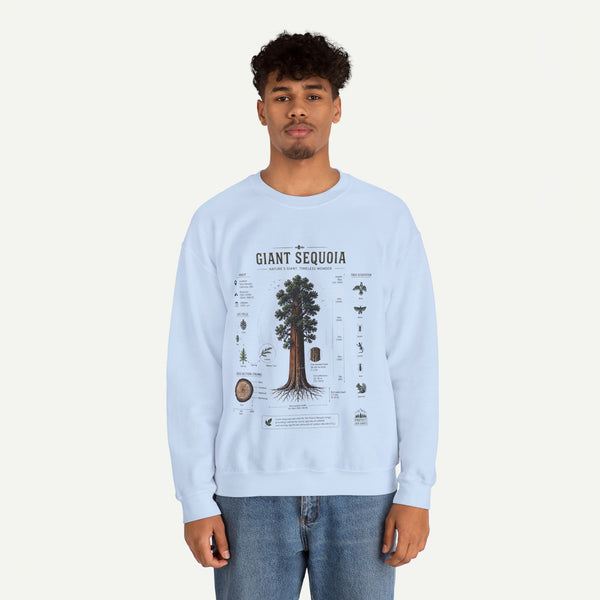 Giant Sequoia Botanical Sweatshirt
