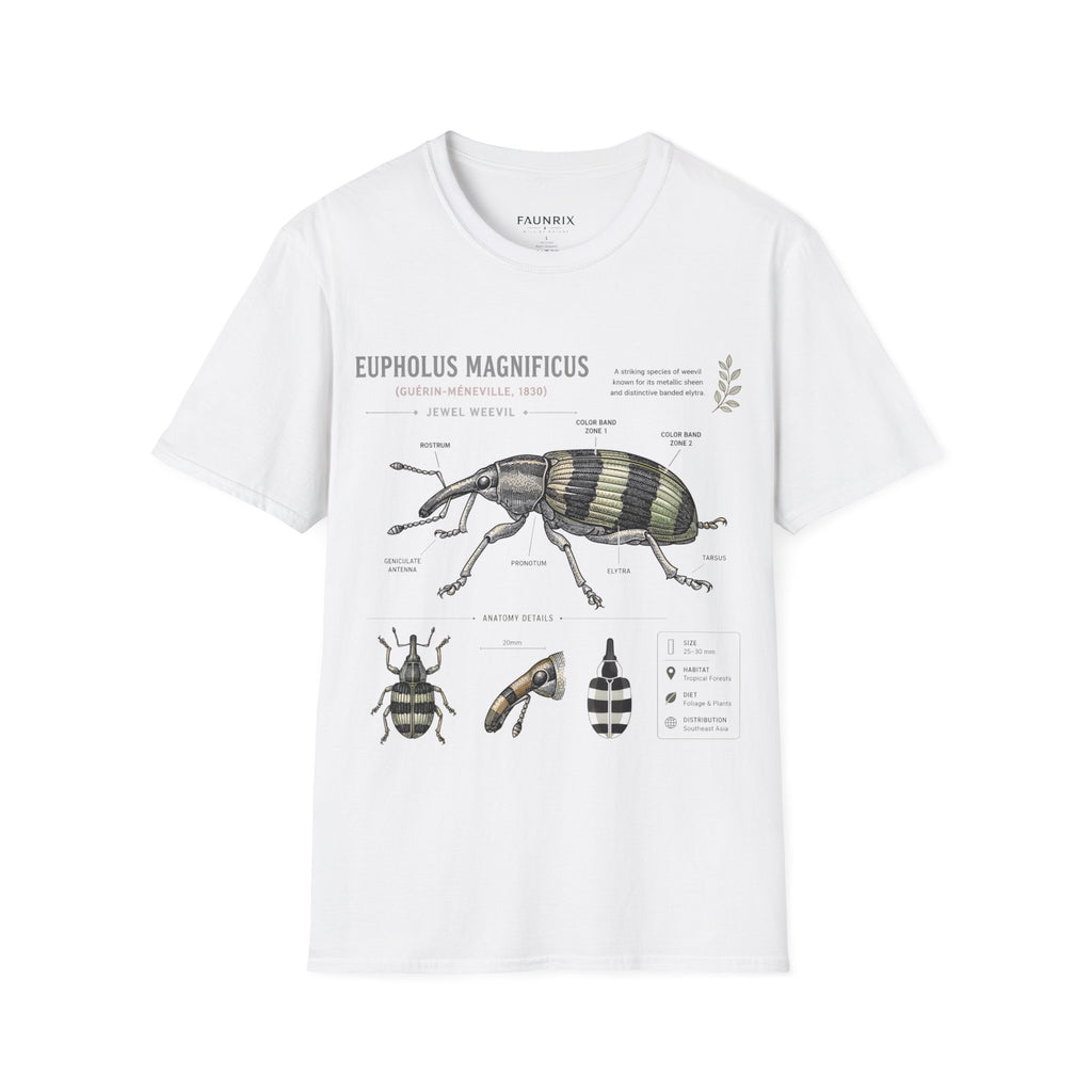 Vintage Botanical Beetle Anatomy T-Shirt — Eupholus Magnificus Illustration