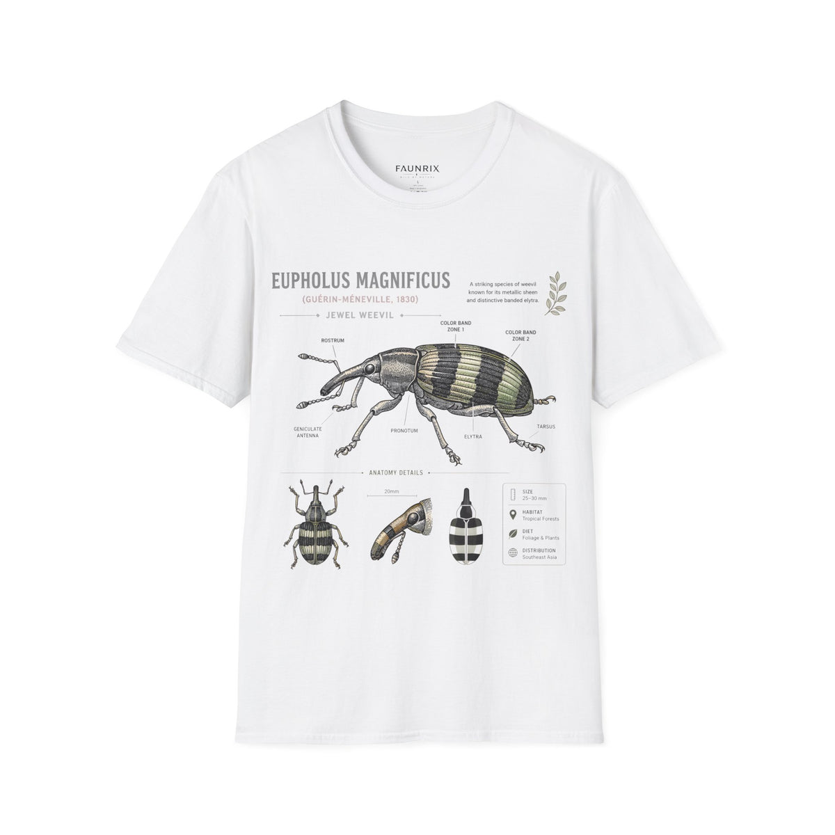 Vintage Botanical Beetle Anatomy T-Shirt — Eupholus Magnificus Illustration