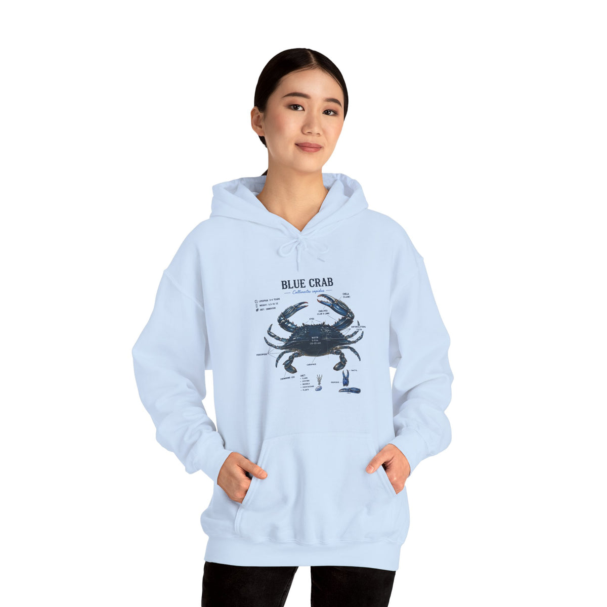 Blue Crab Anatomy Hoodie — Nautical Marine Biology Graphic Sweatshirt