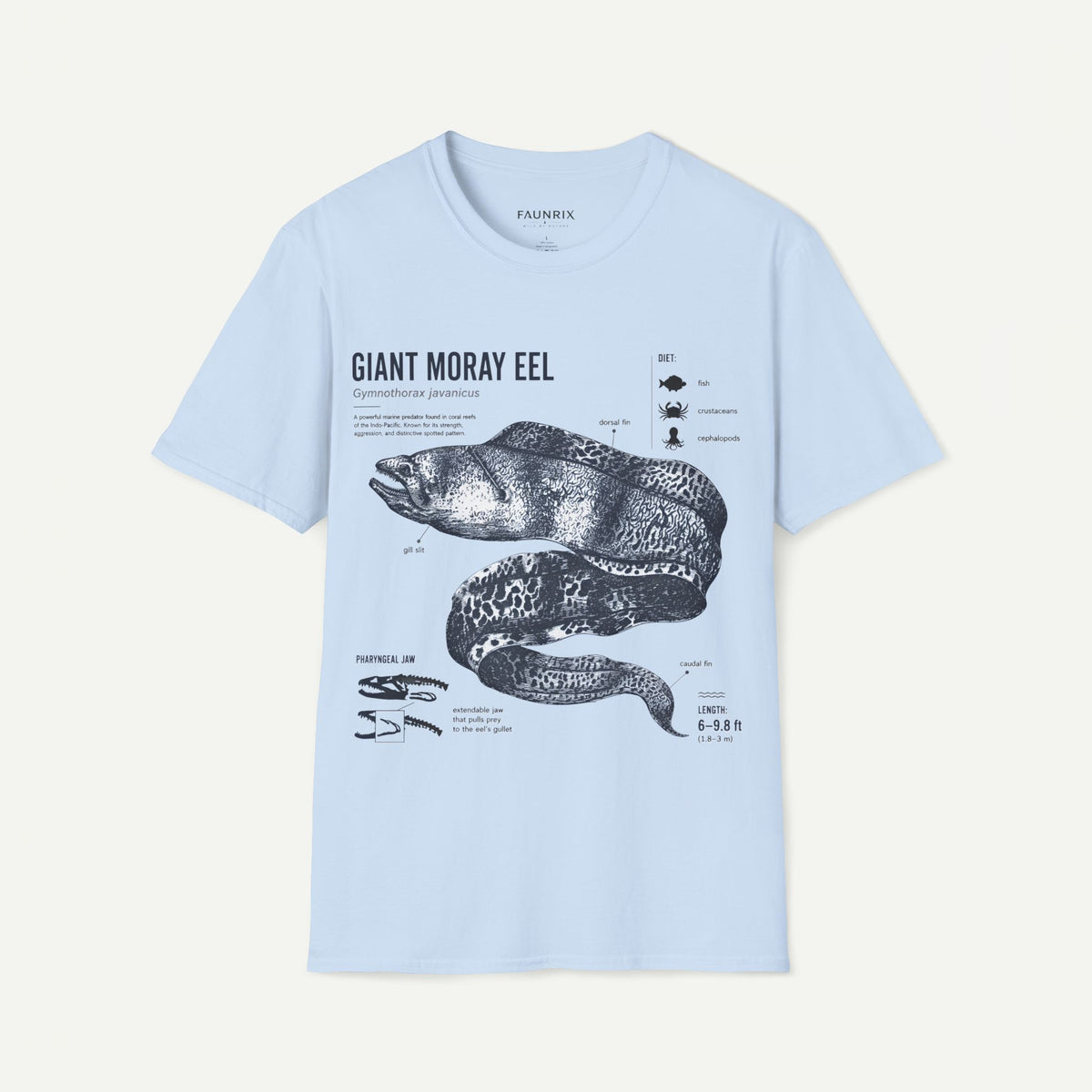 Moray Eel Anatomy Graphic T-Shirt — Vintage Scientific Illustration Tee