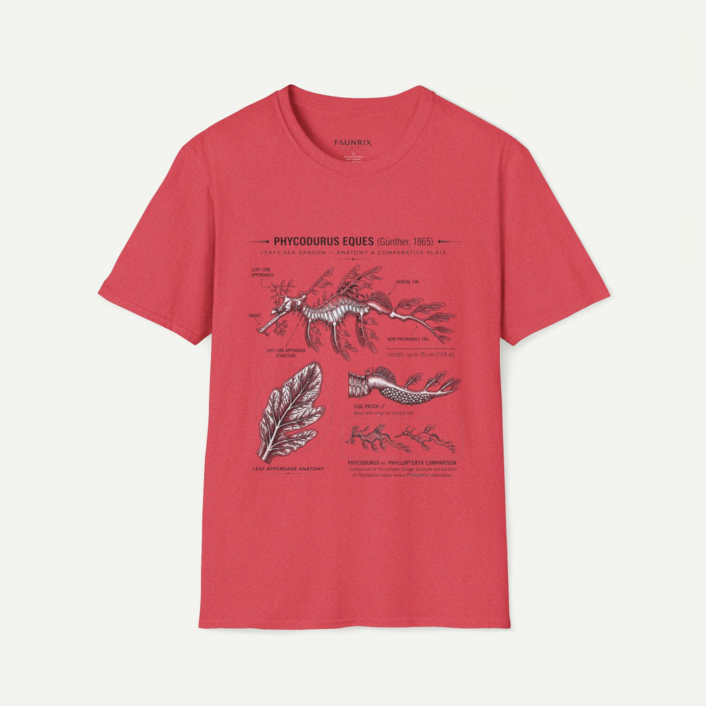 Sea Dragon Anatomy T-Shirt — Phycodurus Eques Botanical Illustration Tee