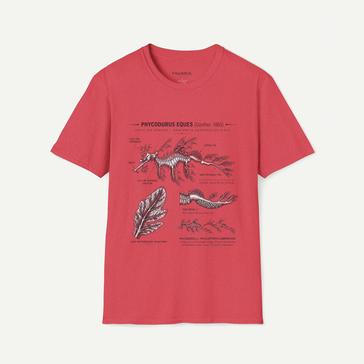 Sea Dragon Anatomy T-Shirt — Phycodurus Eques Botanical Illustration Tee
