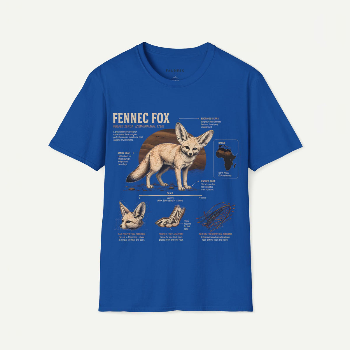 Fennec Fox Anatomy Tee — Illustrated Desert Fox Graphic T-Shirt