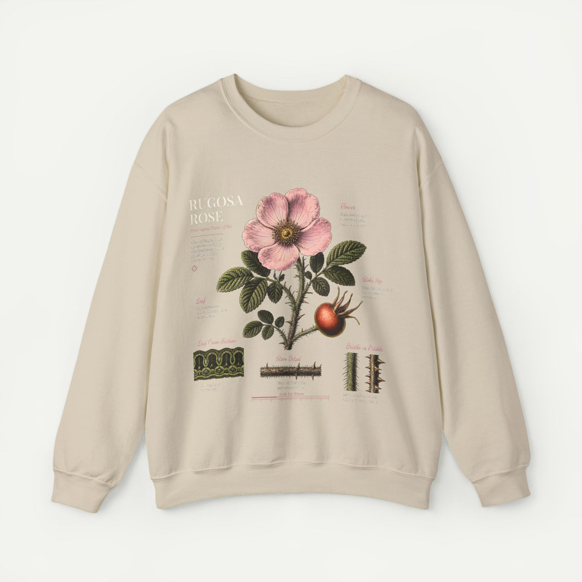 Botanical Rose Crewneck Sweatshirt – Vintage Floral Illustration Main image
