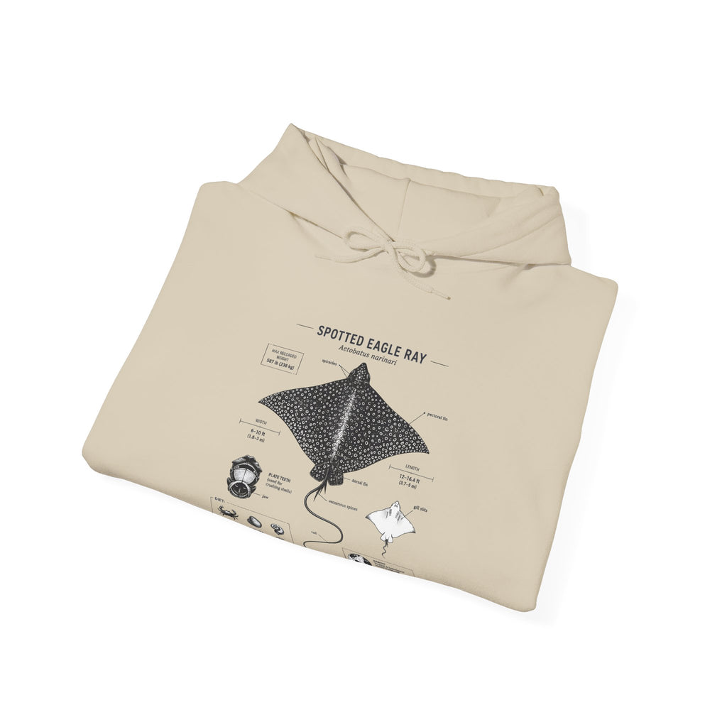 Manta Ray Anatomy Hoodie – Spotted Eagle Ray Diagram Sweatshirt