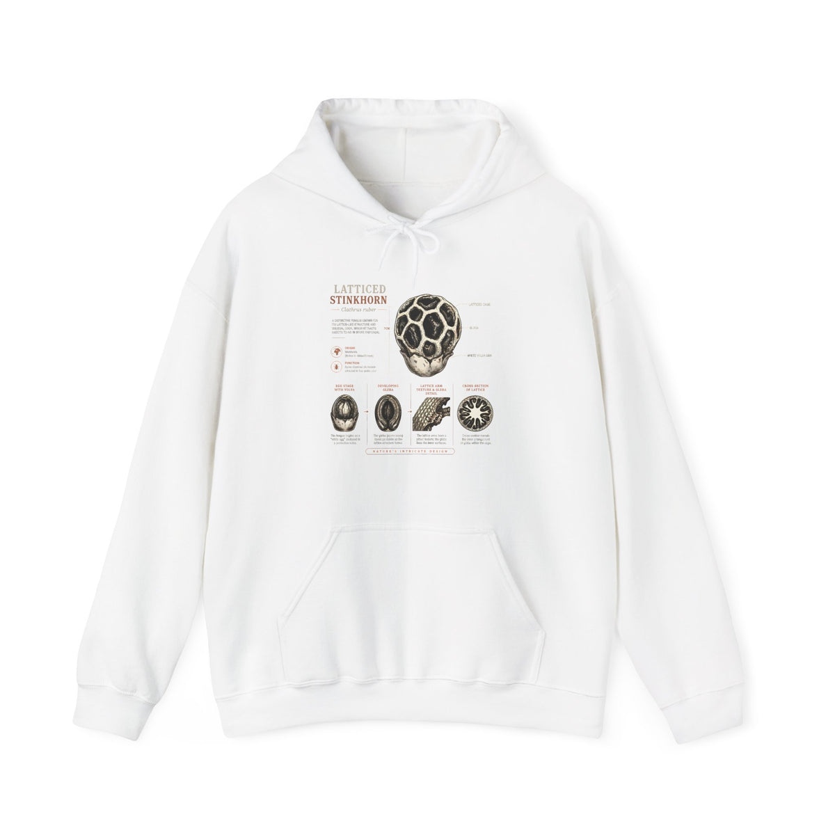 Hoodie — Mushroom Anatomy Chart Graphic Hoodie Main image