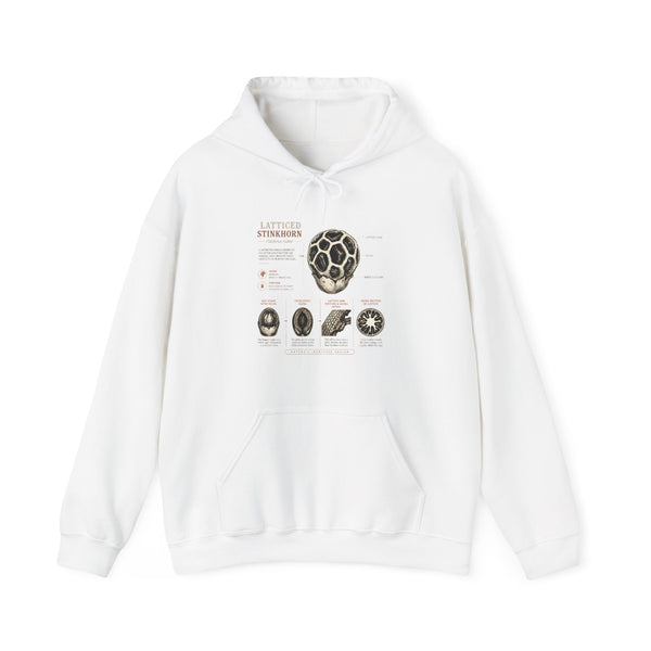 Hoodie — Mushroom Anatomy Chart Graphic Hoodie