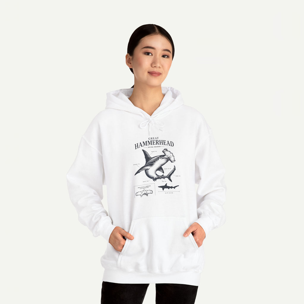 Hammerhead Shark Anatomy Hoodie – Marine Biology Graphic