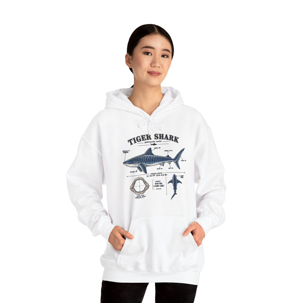 Tiger Shark Anatomy Hoodie — Nautical Science Graphic Pullover