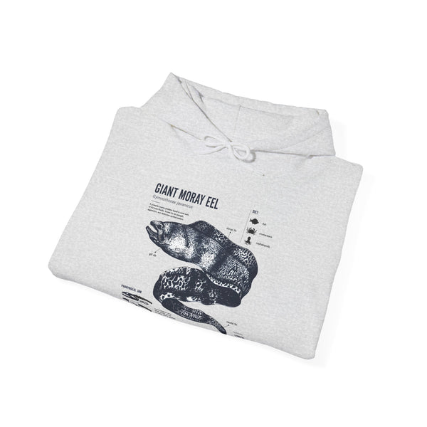 Sea Snake Diagram Hoodie - Vintage Scientific Illustration Sweatshirt
