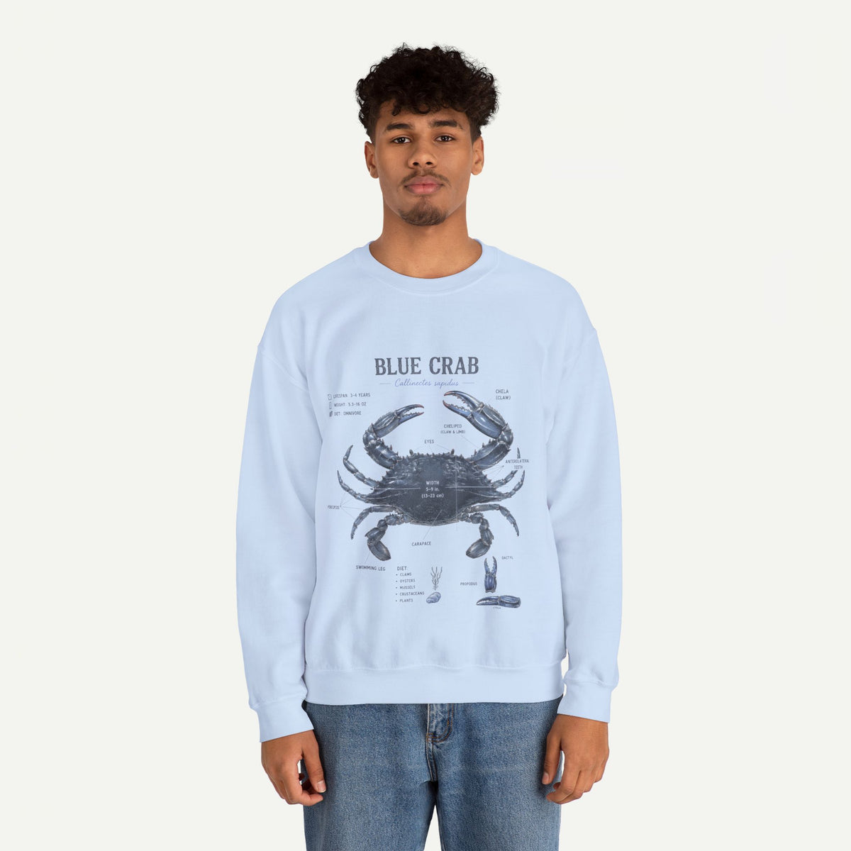 Blue Crab Sweatshirt — Vintage Nautical Marine Illustration