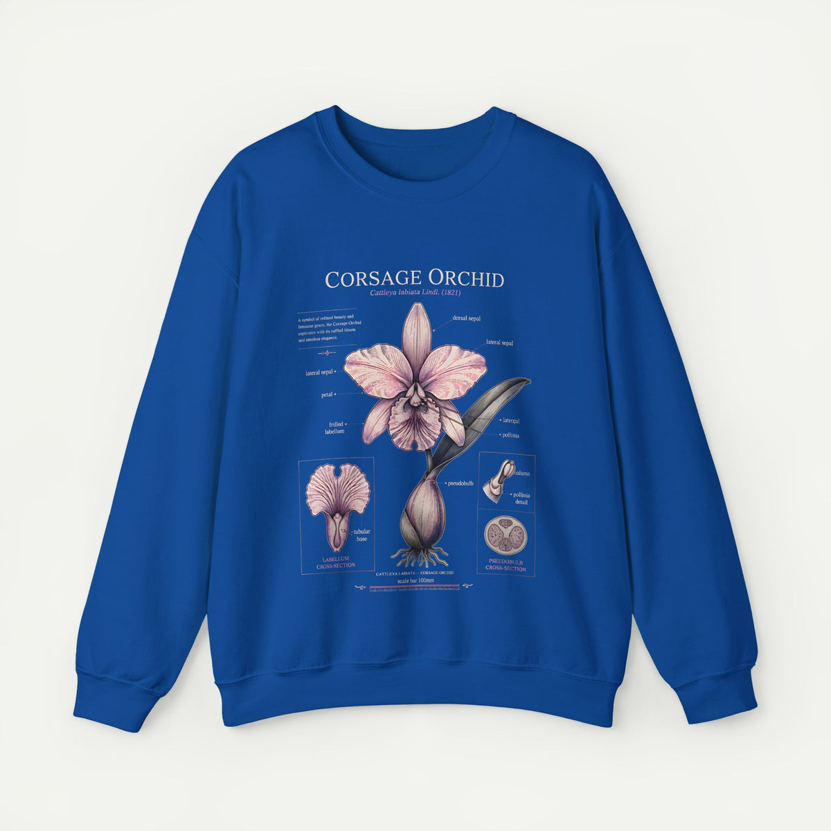 Corsage Orchid Sweatshirt — Botanical Anatomy Floral Crewneck