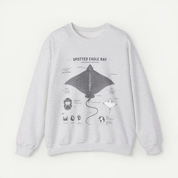 Spotted Eagle Ray Anatomy Sweatshirt – Marine Biology Illustration