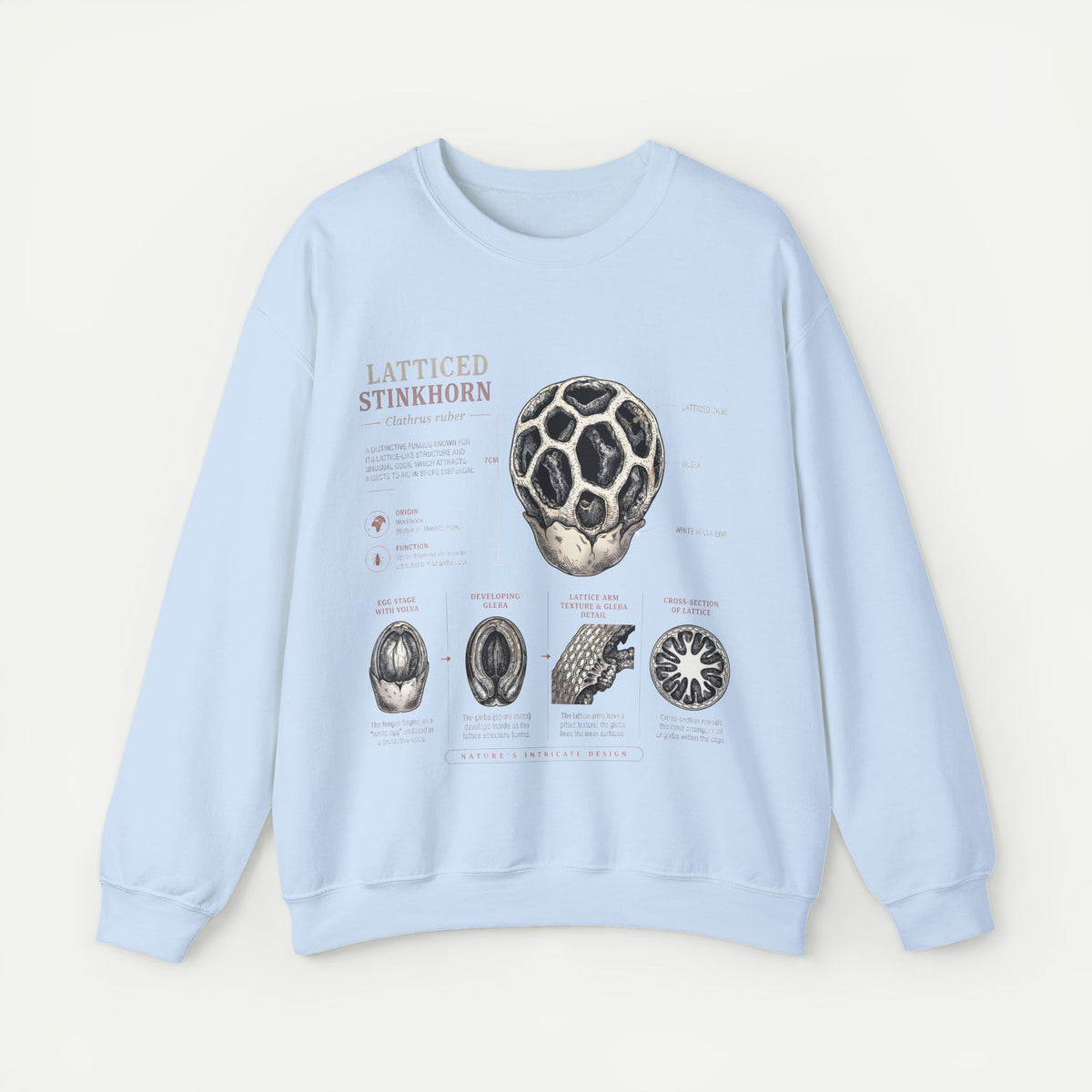 Mushroom Anatomy Sweatshirt – Latticeed Stinkhorn Mycology Crewneck