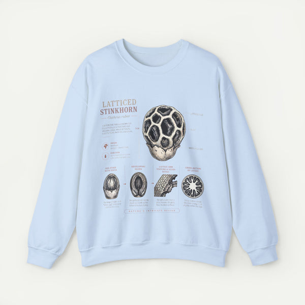 Mushroom Anatomy Sweatshirt – Latticeed Stinkhorn Mycology Crewneck