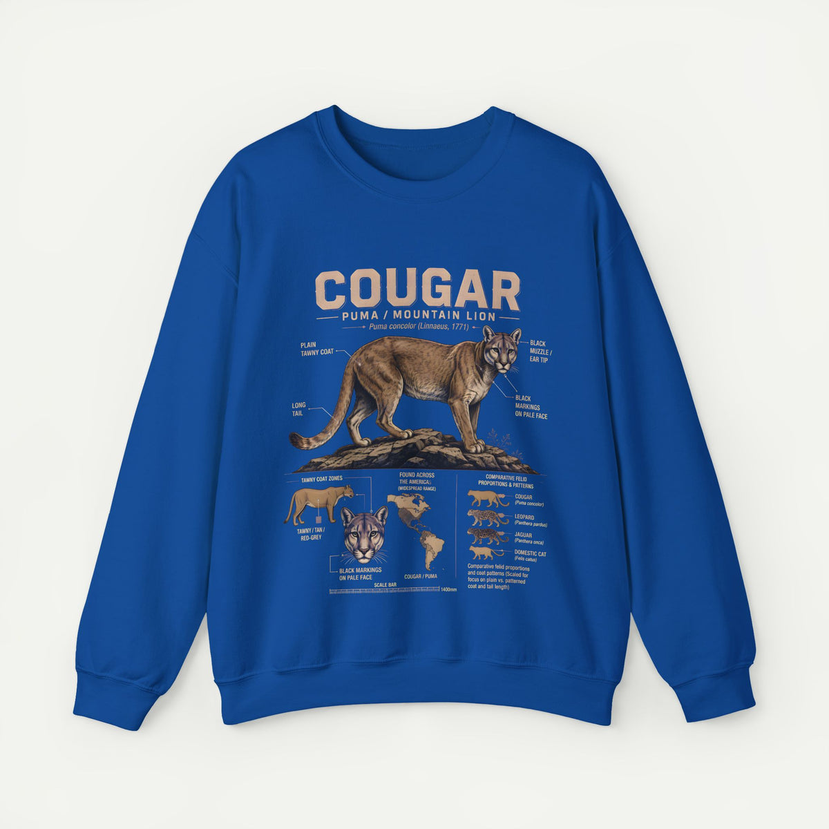 Cougar Anatomy Sweatshirt – Puma / Mountain Lion Educational Crewneck
