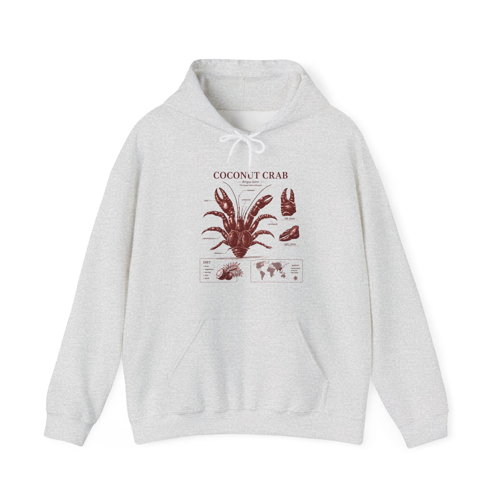 Coconut Crab Anatomy Hoodie — Vintage Botanical & Marine Study Print