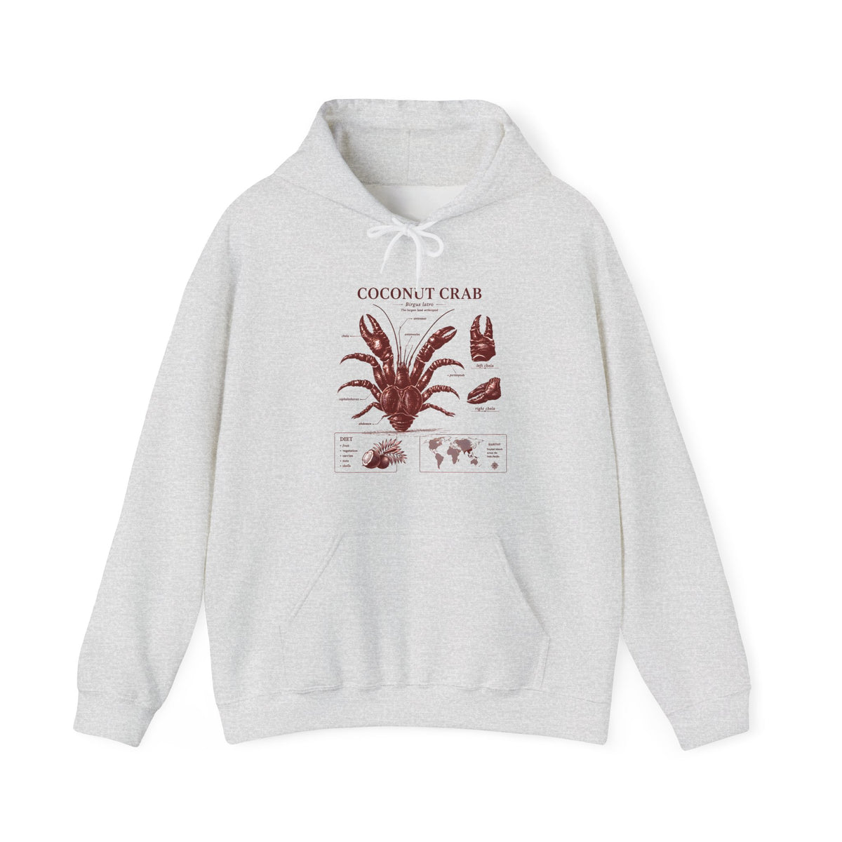 Coconut Crab Anatomy Hoodie — Vintage Botanical & Marine Study Print