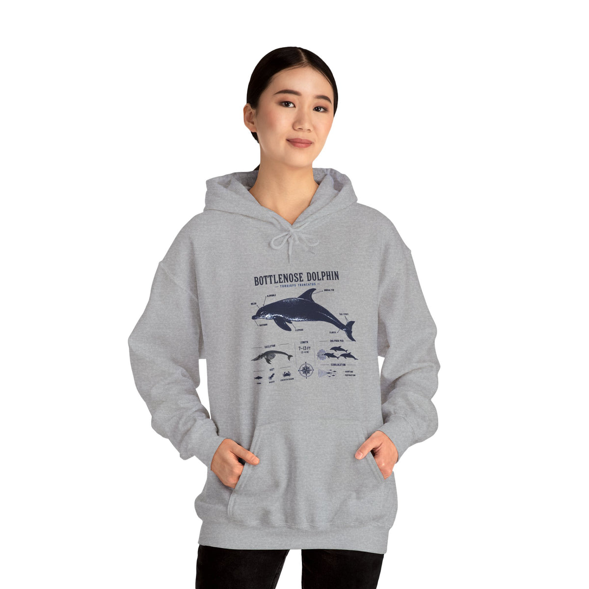 Bottlenose Dolphin Diagram Hoodie – Marine Life Anatomy Sweatshirt