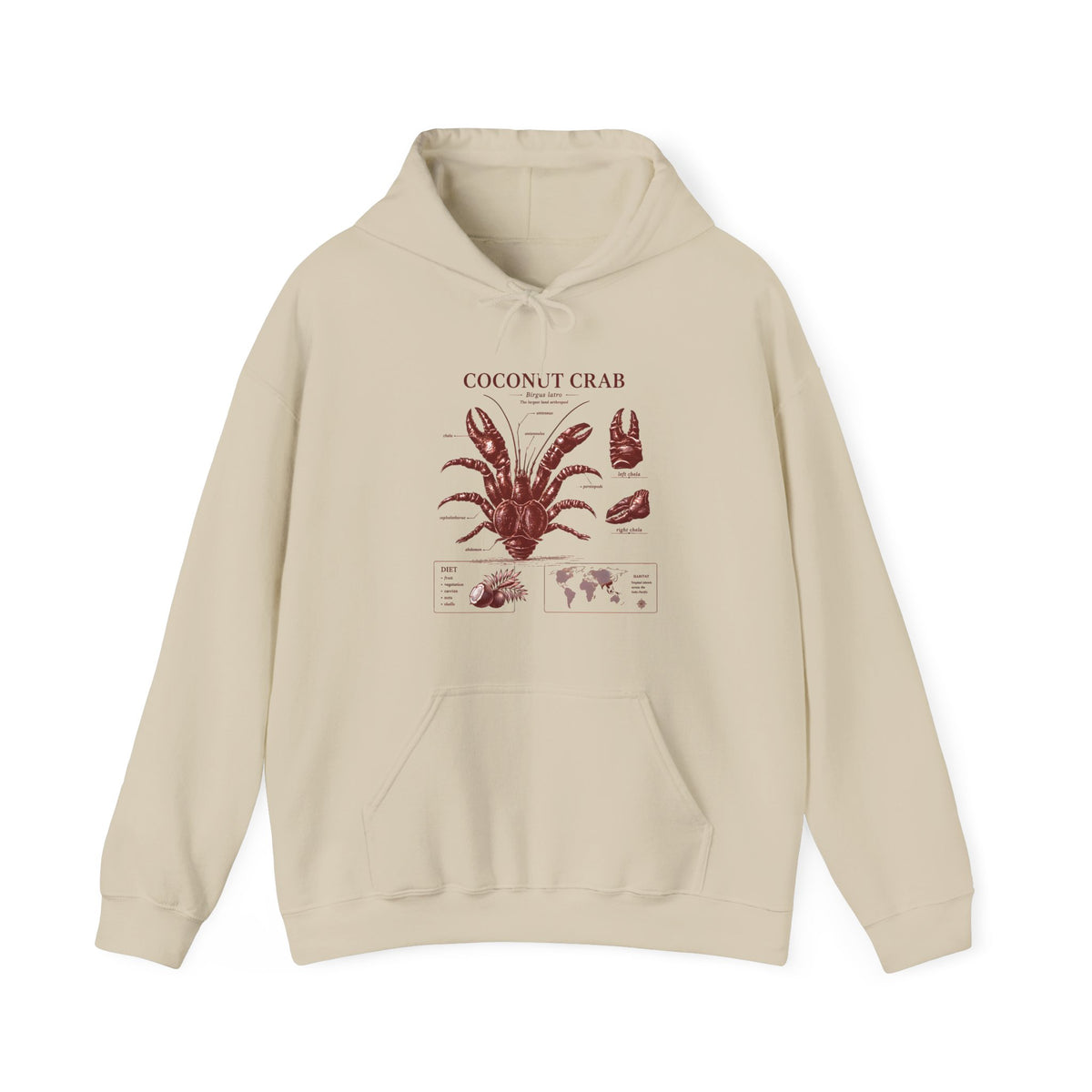 Coconut Crab Anatomy Hoodie — Vintage Botanical & Marine Study Print