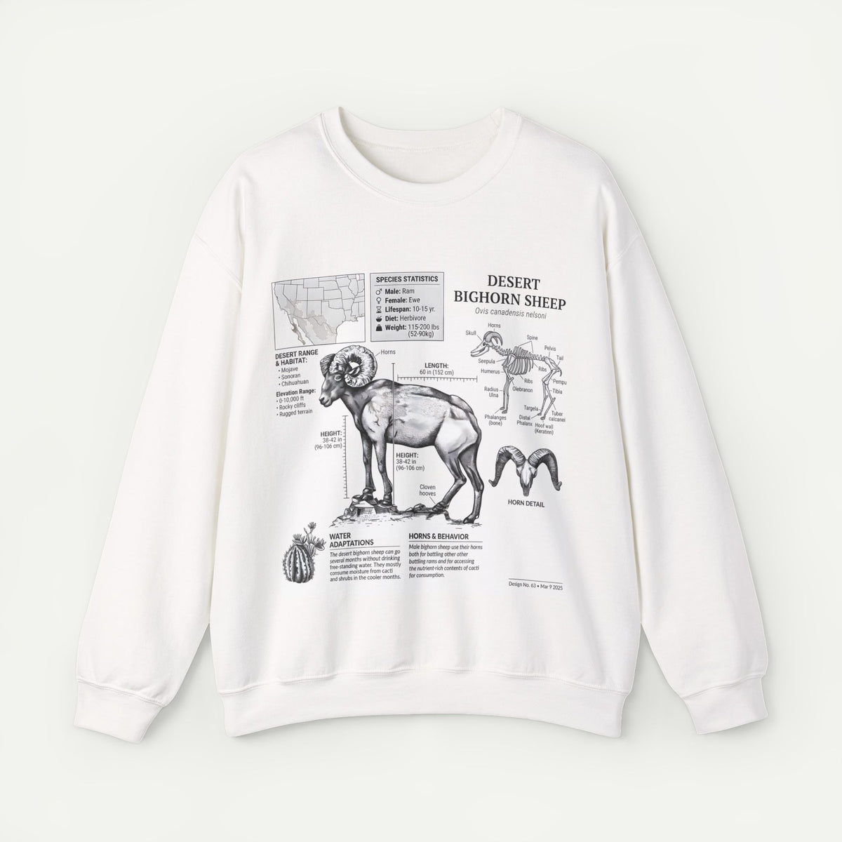 Desert Bighorn Sheep Anatomy Sweatshirt