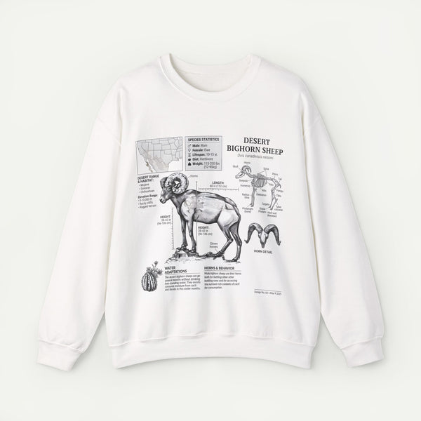 Desert Bighorn Sheep Anatomy Sweatshirt