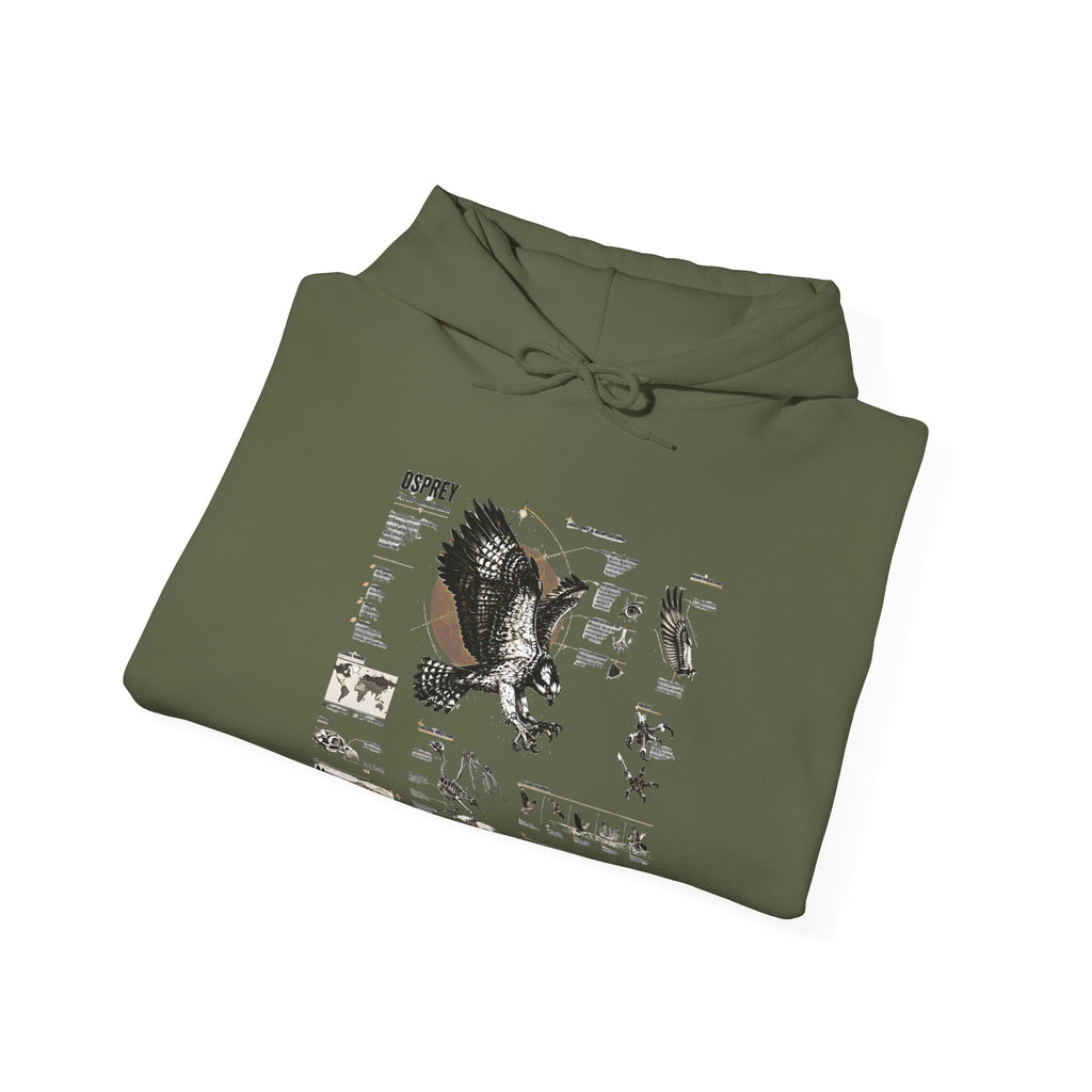 Eagle Anatomy Hoodie — Vintage Ornithology Graphic Sweatshirt