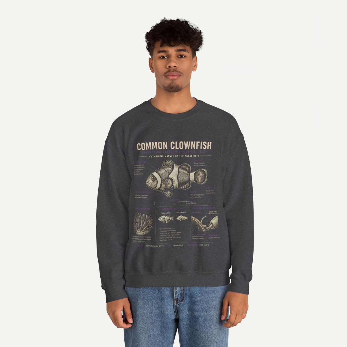 Common Clownfish Anatomy Sweatshirt – Marine Biology Graphic Pullover