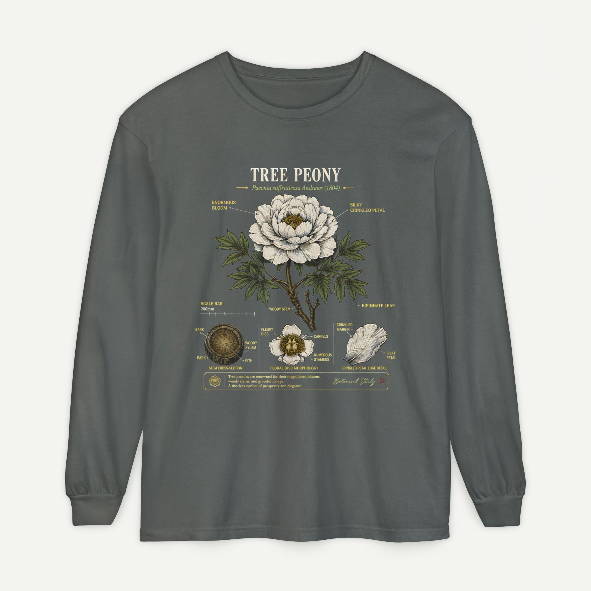 Tree Peony Illustration Long Sleeve Tee Secondary image