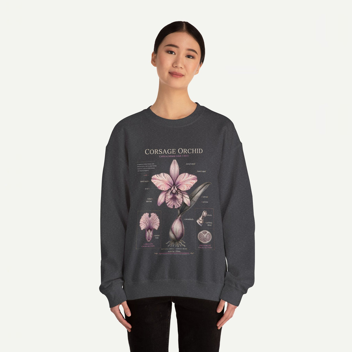 Corsage Orchid Sweatshirt — Botanical Anatomy Floral Crewneck