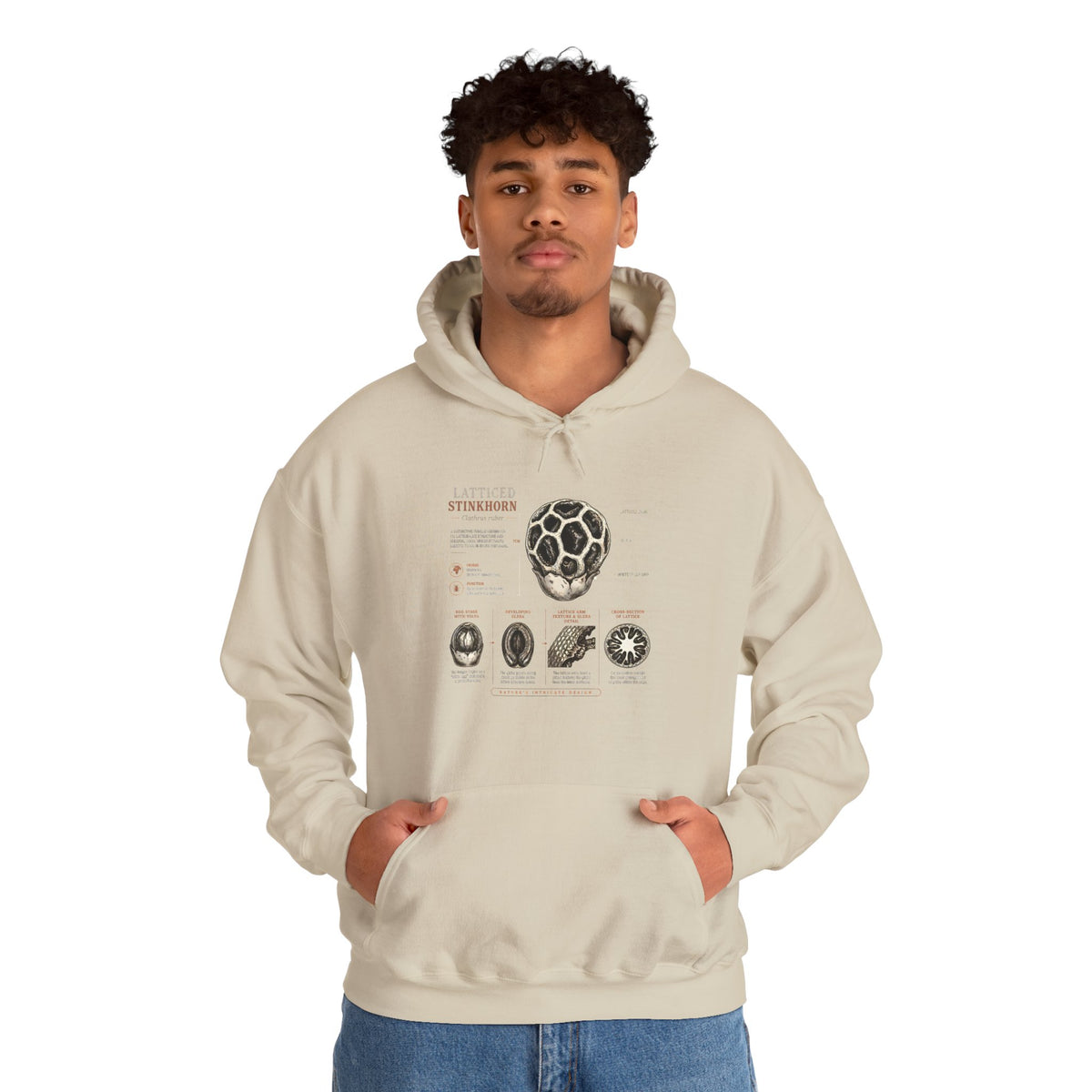 Hoodie — Mushroom Anatomy Chart Graphic Hoodie