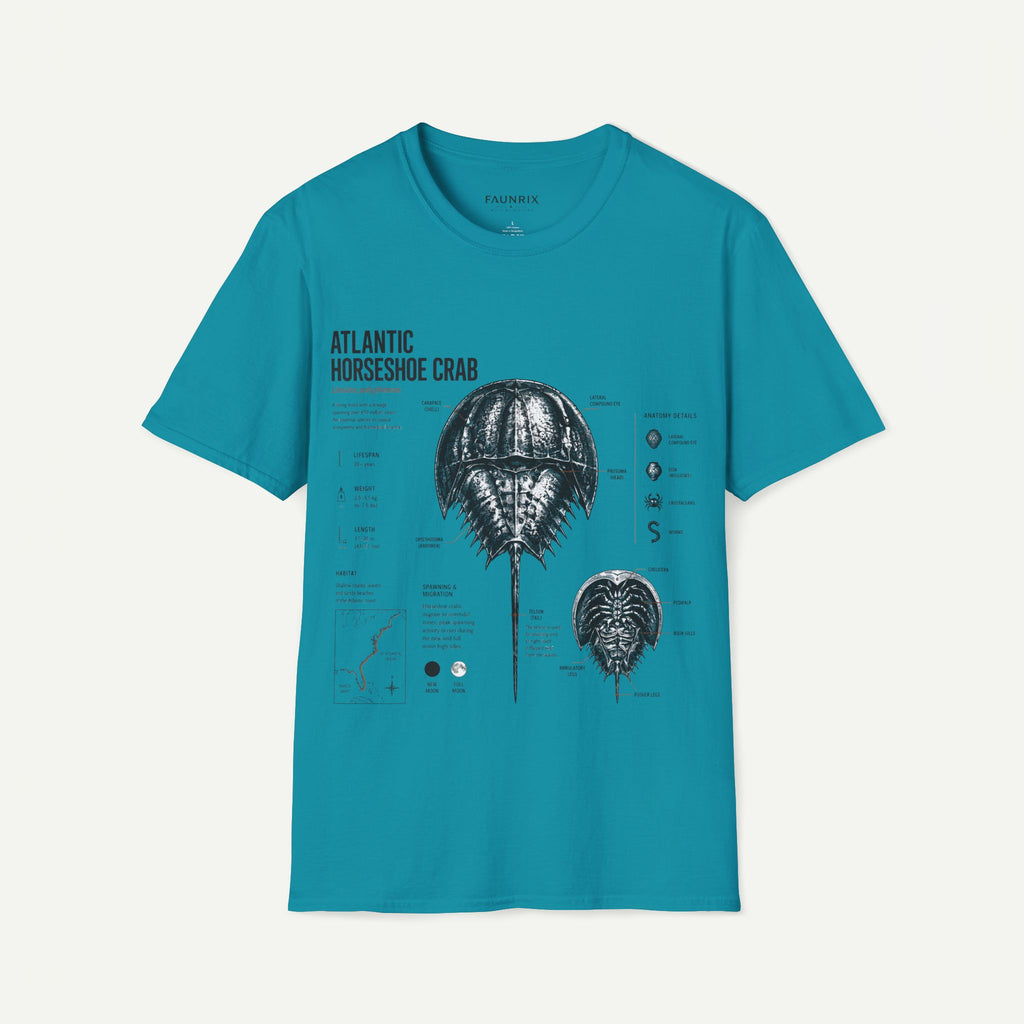 Horseshoe Crab Anatomy T-Shirt — Atlantic Horseshoe Crab Illustration
