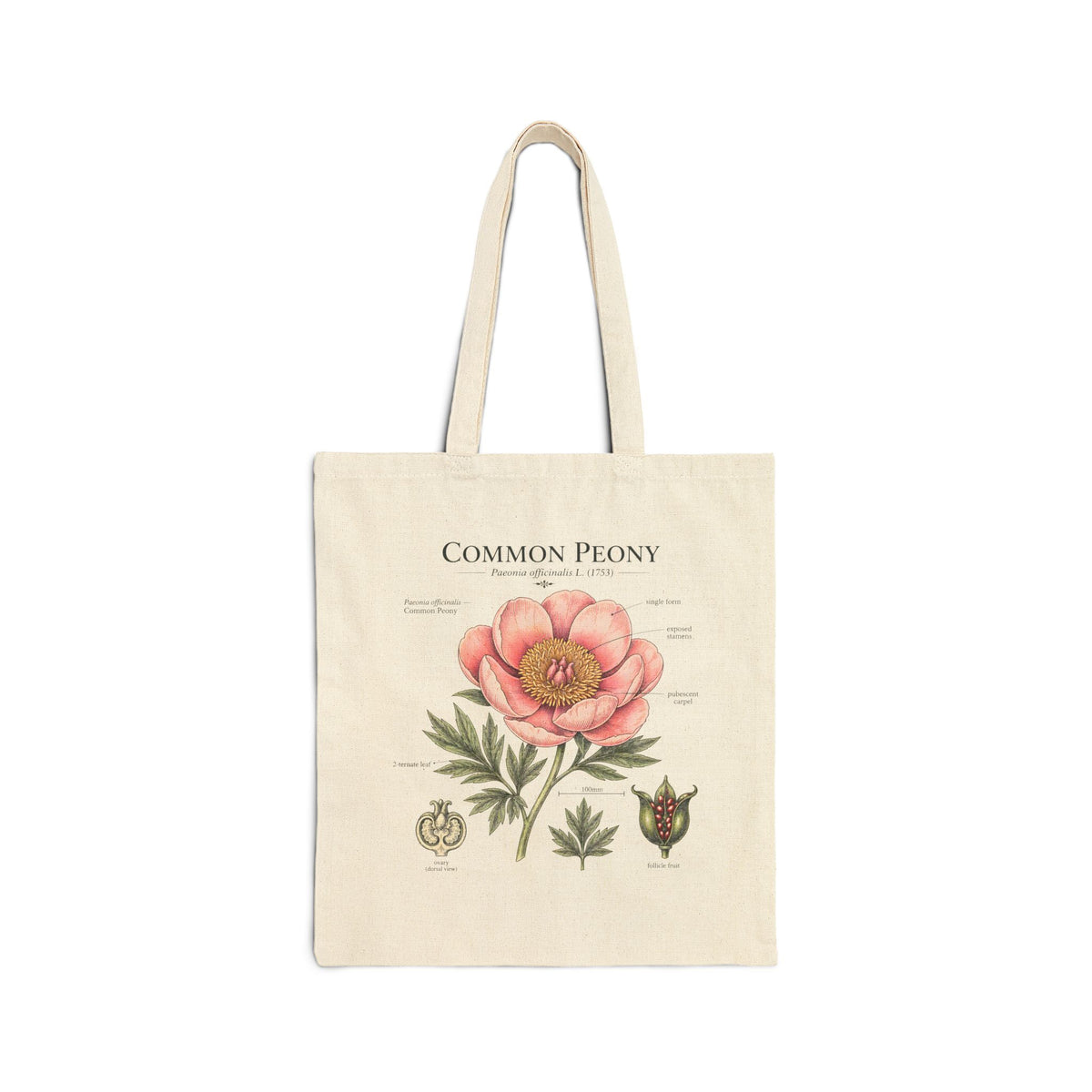 Peony Botanical Tote Bag — "Common Peony" Canvas Shopper