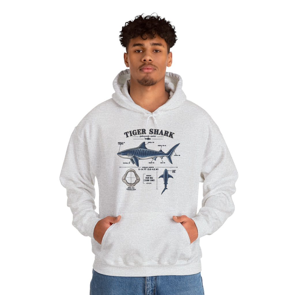 Tiger Shark Anatomy Hoodie — Nautical Science Graphic Pullover