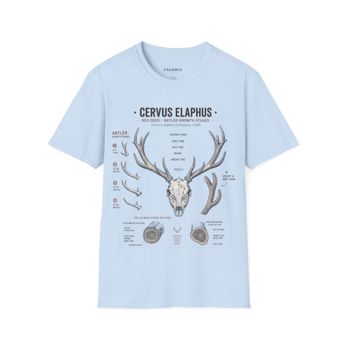 Deer Antler Anatomy T-Shirt — 'Cervus Elaphus' Educational Graphic Main image
