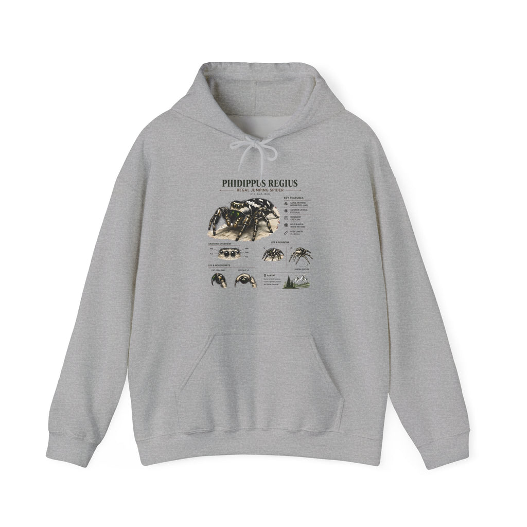Tarantula Species Hoodie — Phidippus Regius Educational Spider Sweatshirt