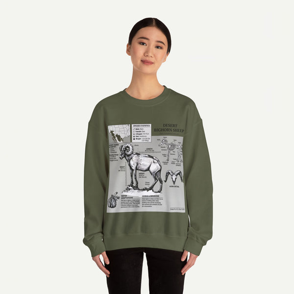 Desert Bighorn Sheep Anatomy Sweatshirt