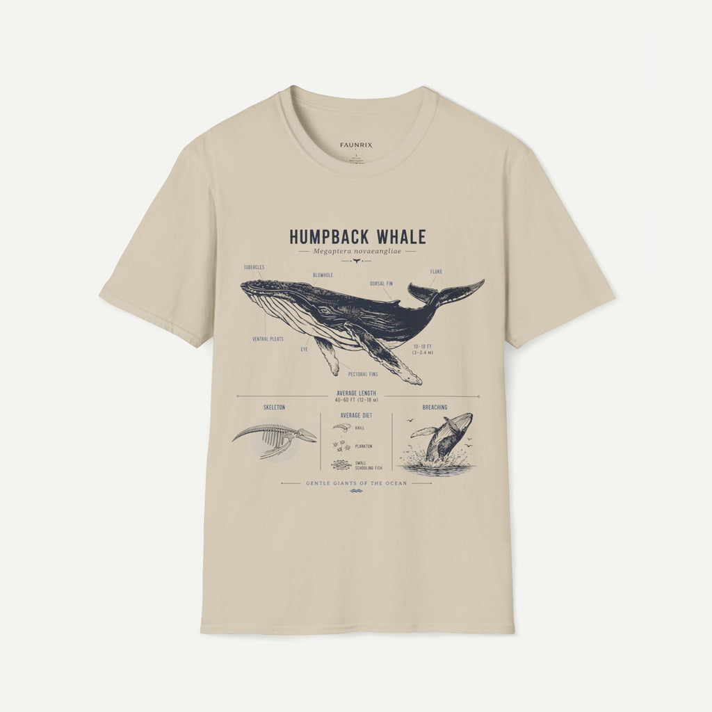 Humpback Whale Anatomy T-Shirt