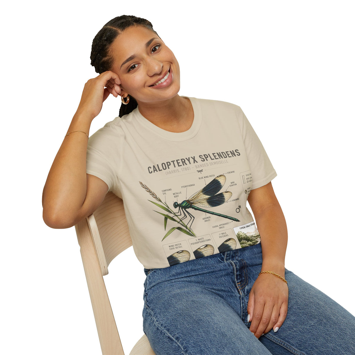Calopteryx Splendens Anatomy T-Shirt