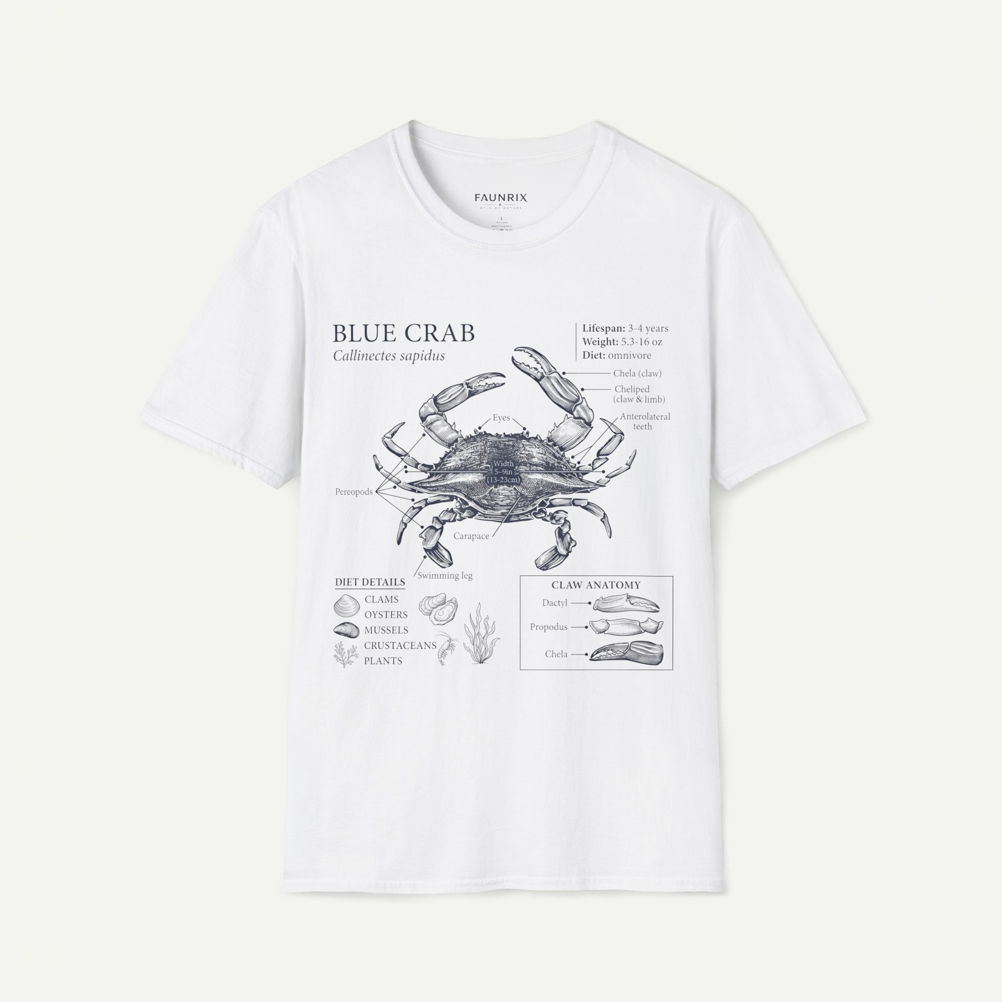 Crab Anatomy T-Shirt — Vintage Blue Crab Illustration Tee Secondary image