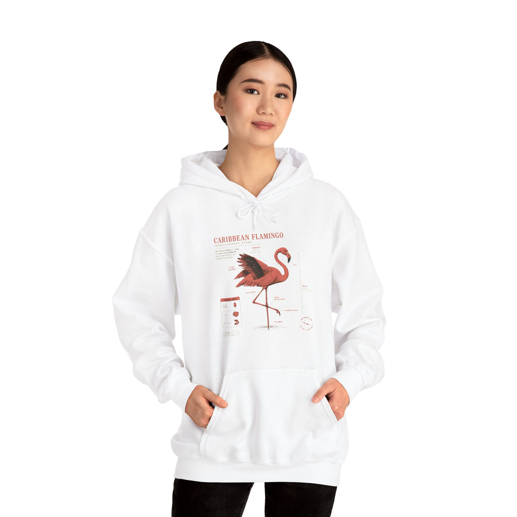 Flamingo Anatomy Hoodie – Caribbean Flamingo Scientific Diagram Sweatshirt