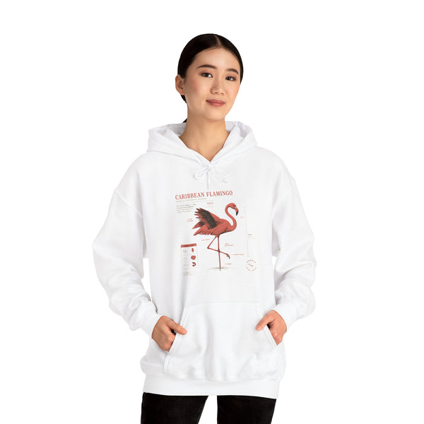 Flamingo Anatomy Hoodie – Caribbean Flamingo Scientific Diagram Sweatshirt