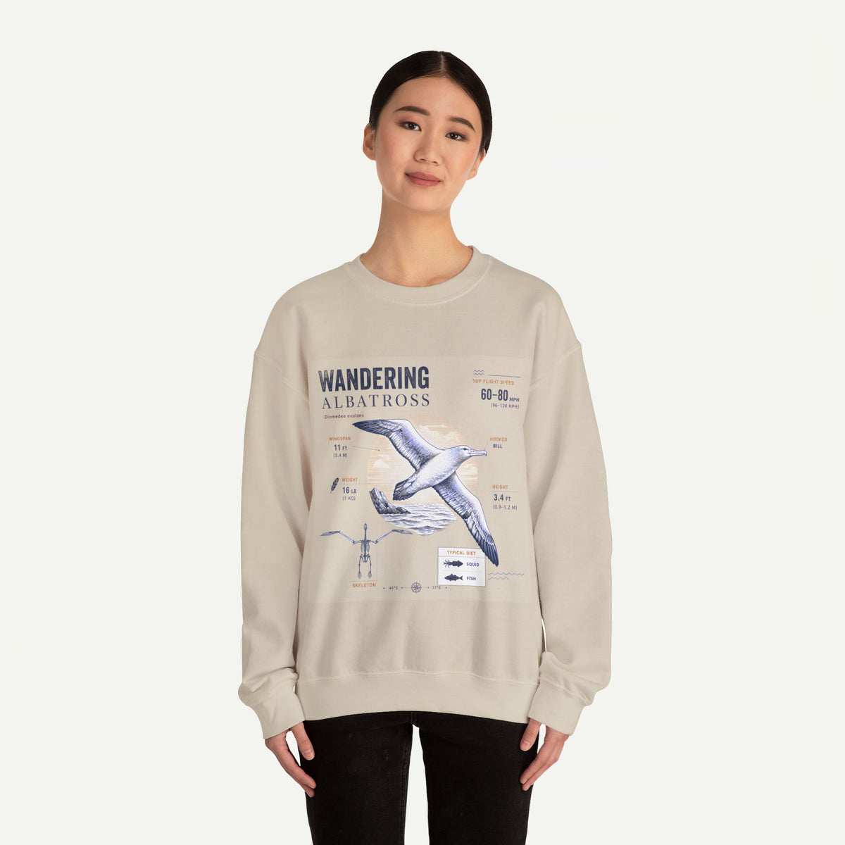 Wandering Albatross Anatomy Sweatshirt — Vintage Seabird Illustration