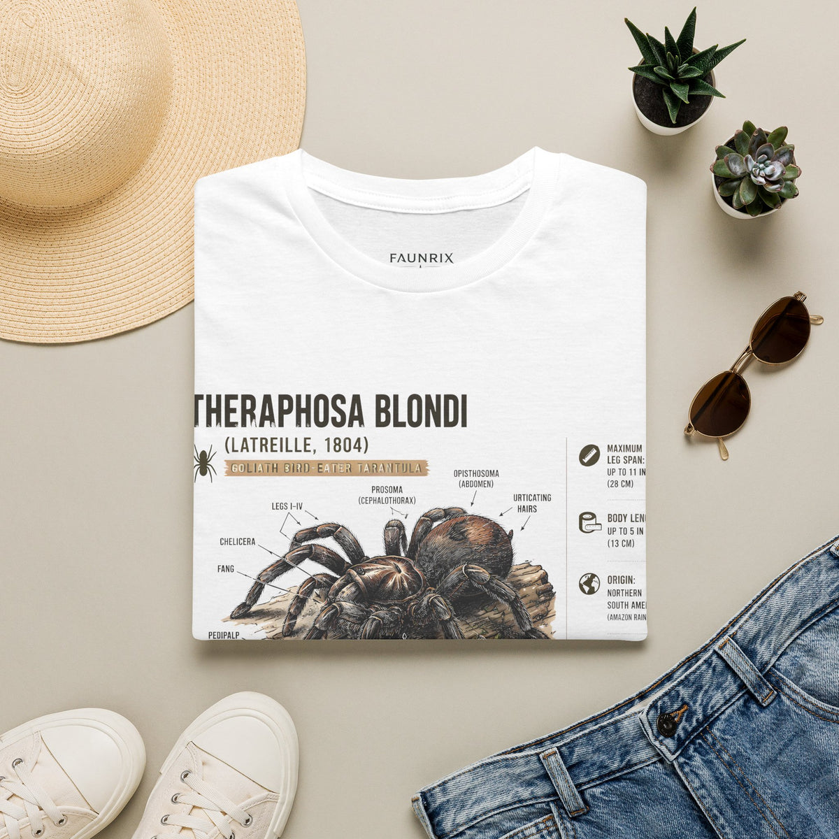 Theraphosa blondi Tarantula T-Shirt — Spider Anatomy Educational Tee
