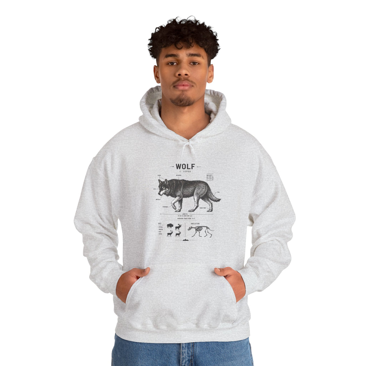 Wolf Anatomy Hoodie – Vintage Wildlife Diagram Sweatshirt