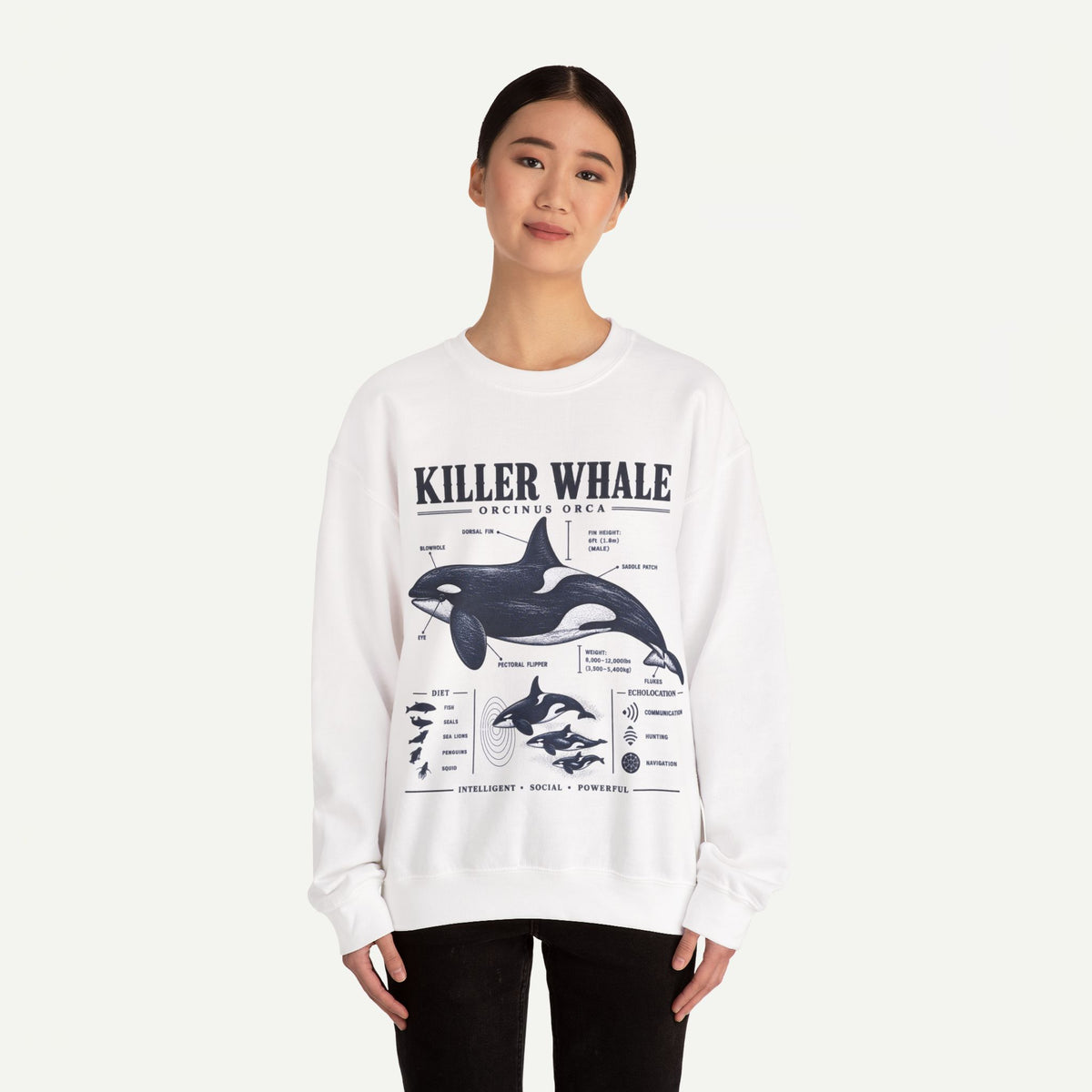 Killer Whale Anatomy Sweatshirt