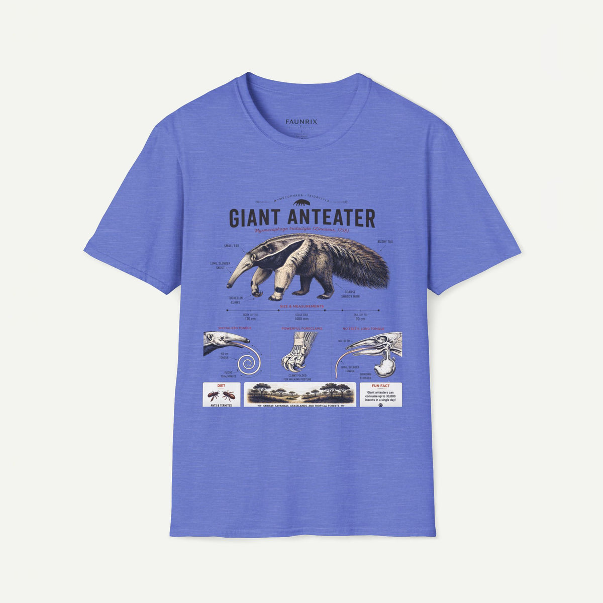 Giant Anteater Anatomy Tee — Vintage Natural History Animal Graphic T-Shirt
